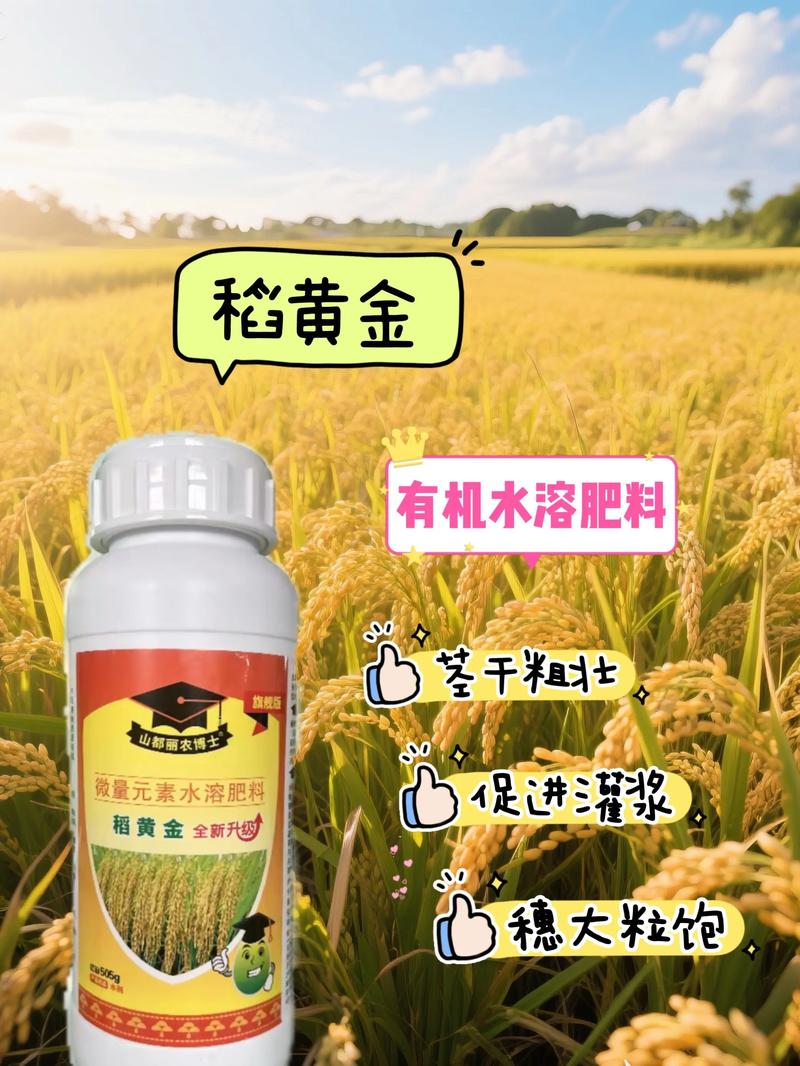 定制化肥料助力现代农业提质增效